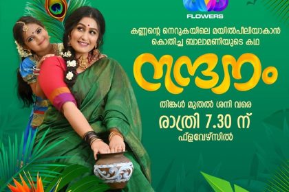 Flowers TV Serial Nandanam