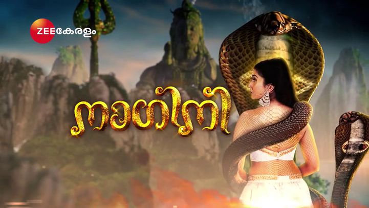 Launch Date of Malayalam Serial Naagini