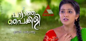 Padatha Painkili Serial