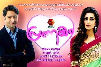 പ്രണയം പരമ്പര