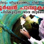 സ്നേക്ക് മാസ്റ്റര്‍