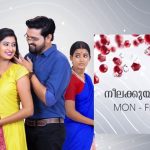 നീലക്കുയിൽ സീരിയല്‍