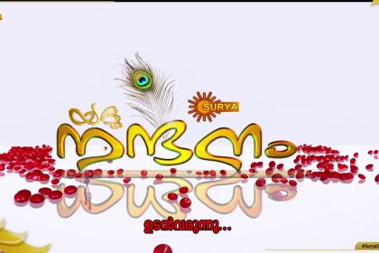പരമ്പര യദു നന്ദനം